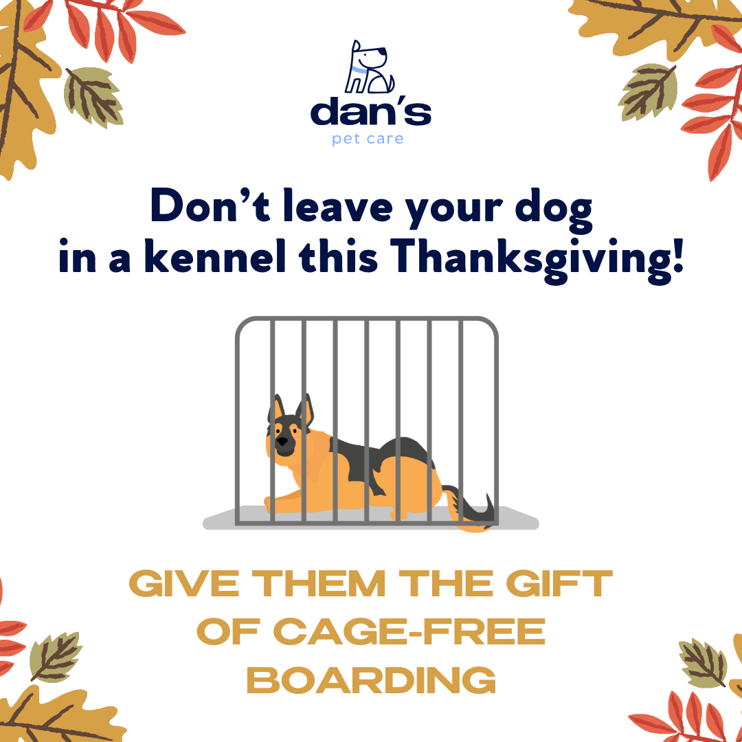 Thanksgiving Boarding Filling Fast!