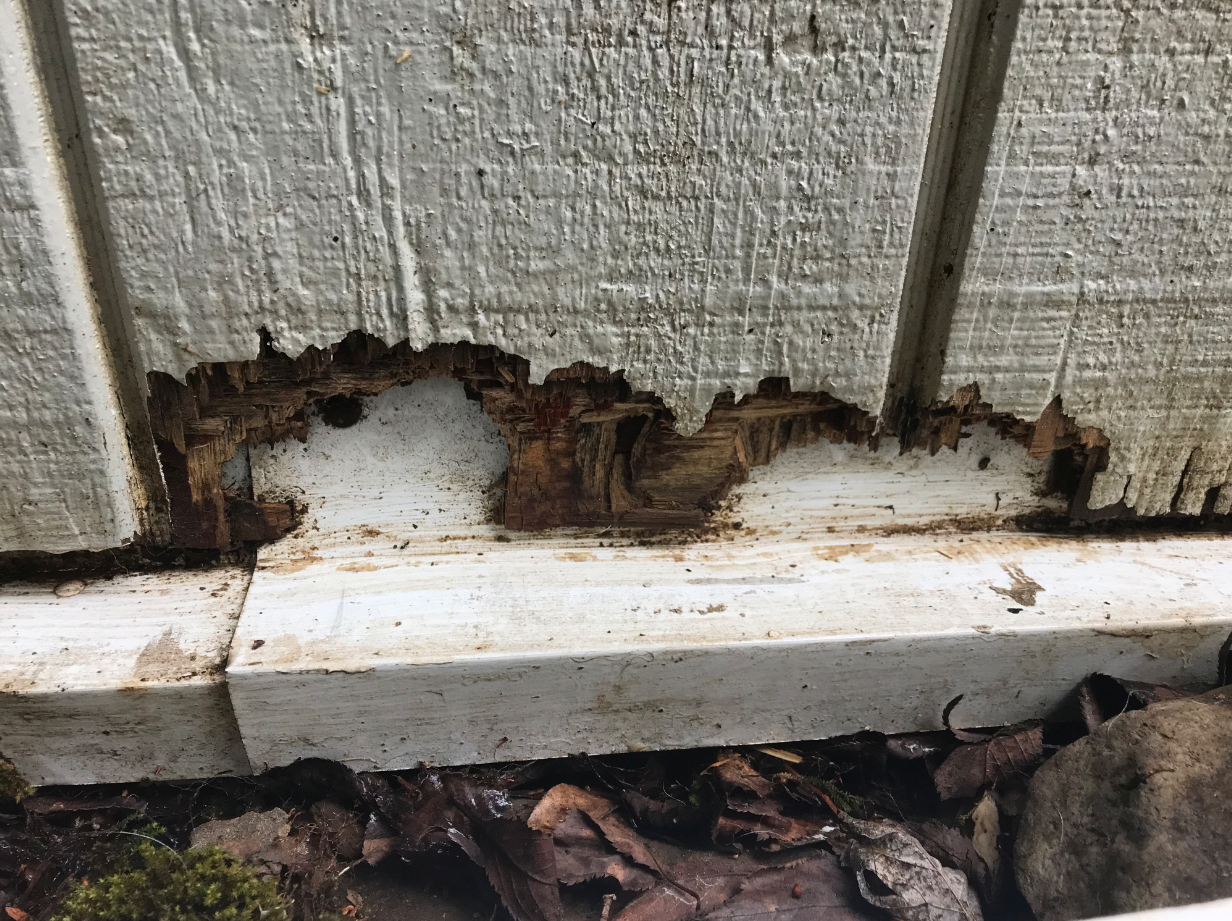 Lily Kendrick Siding & Exterior ad creative