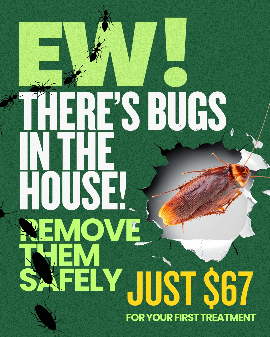 Bugs Gone Now. Barrier Built Tonight.