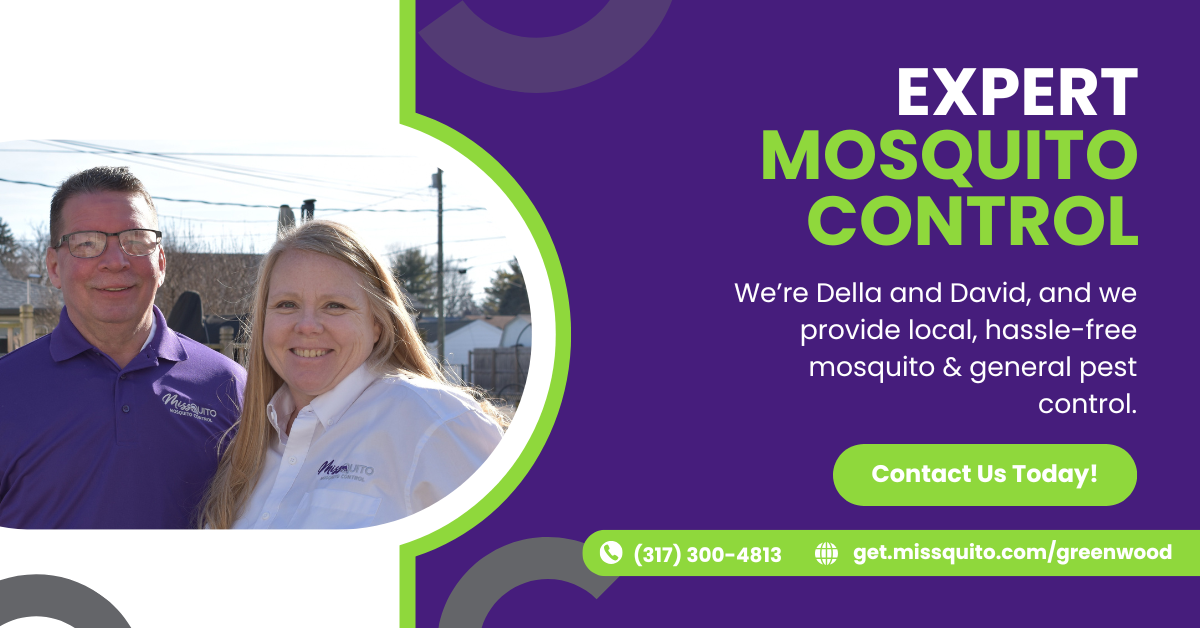 MissQuito Pest Control ad creative