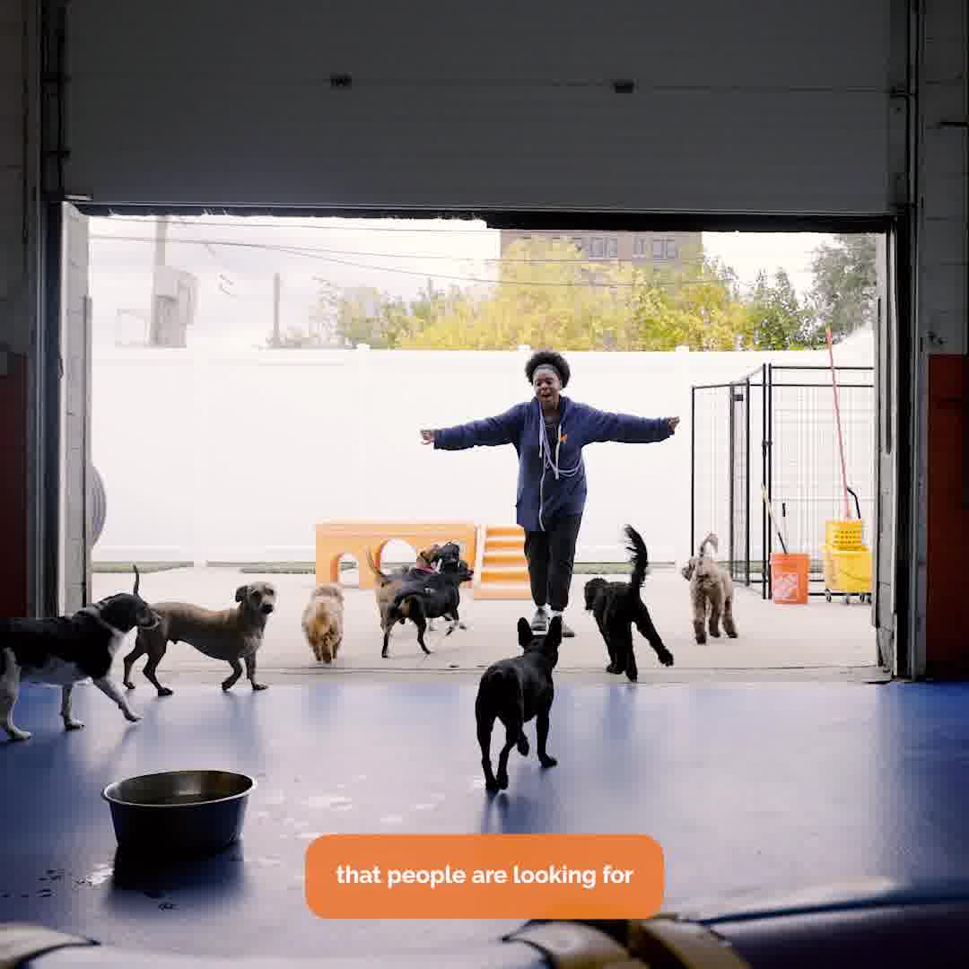 Book Your Pup's Evaluation - Detroit’s Favorite Daycare