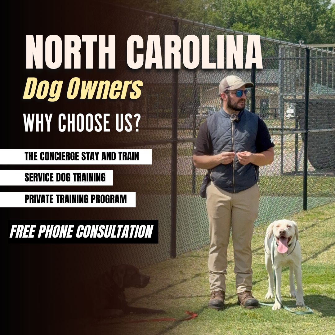 Get the Calm, Well-Mannered Dog You’ve Always Wanted!