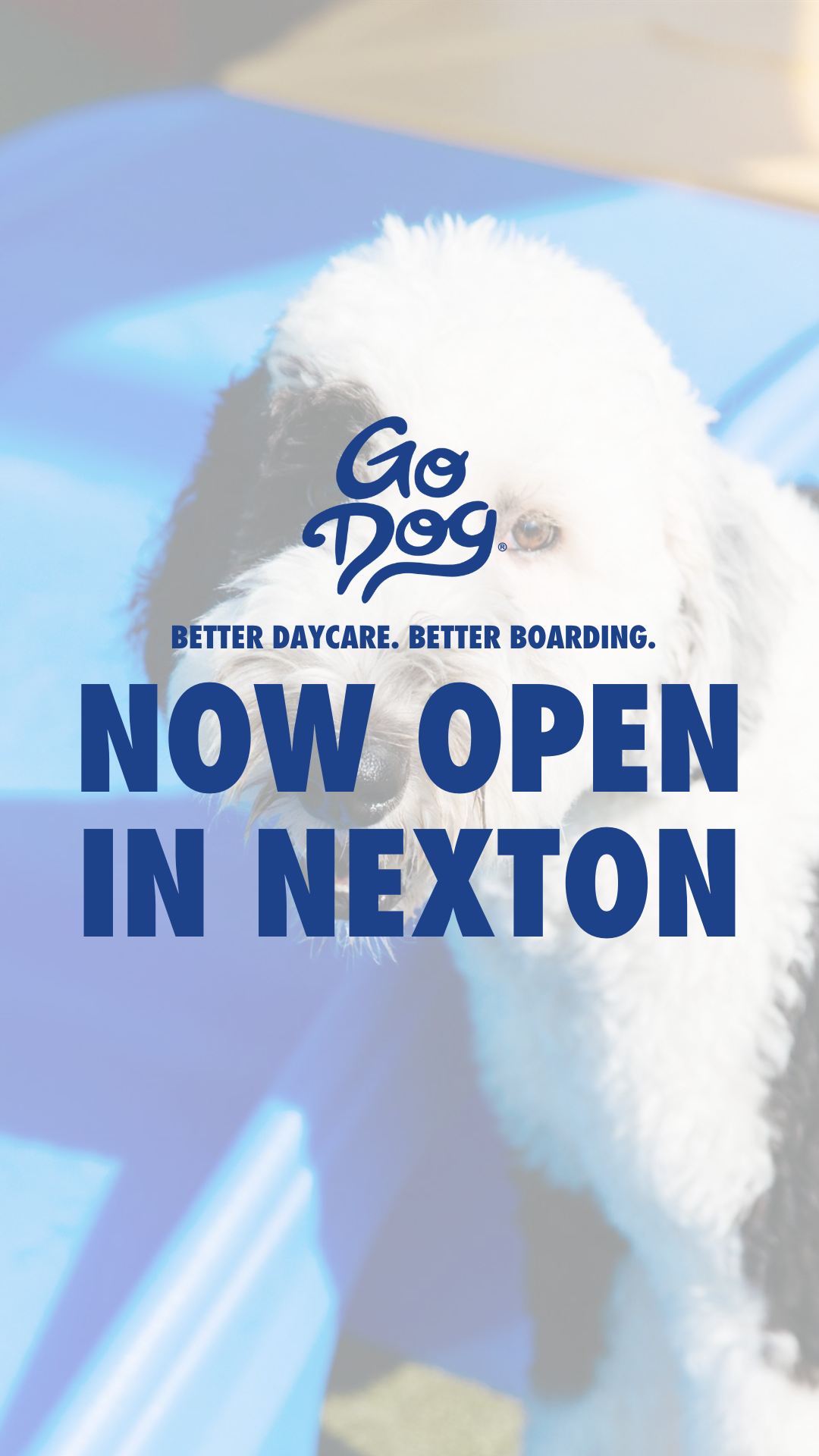 GoDog Pet Boarding ad creative