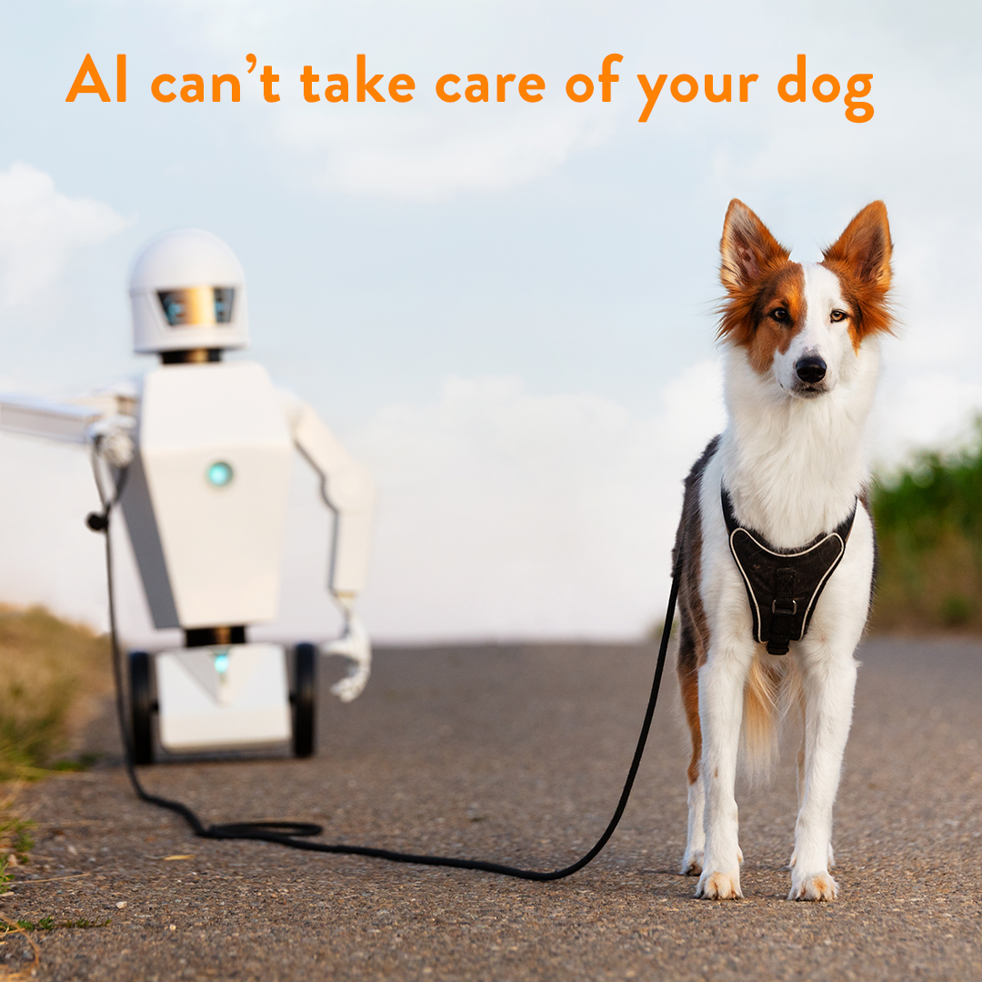 Daycare, Boarding, and Grooming