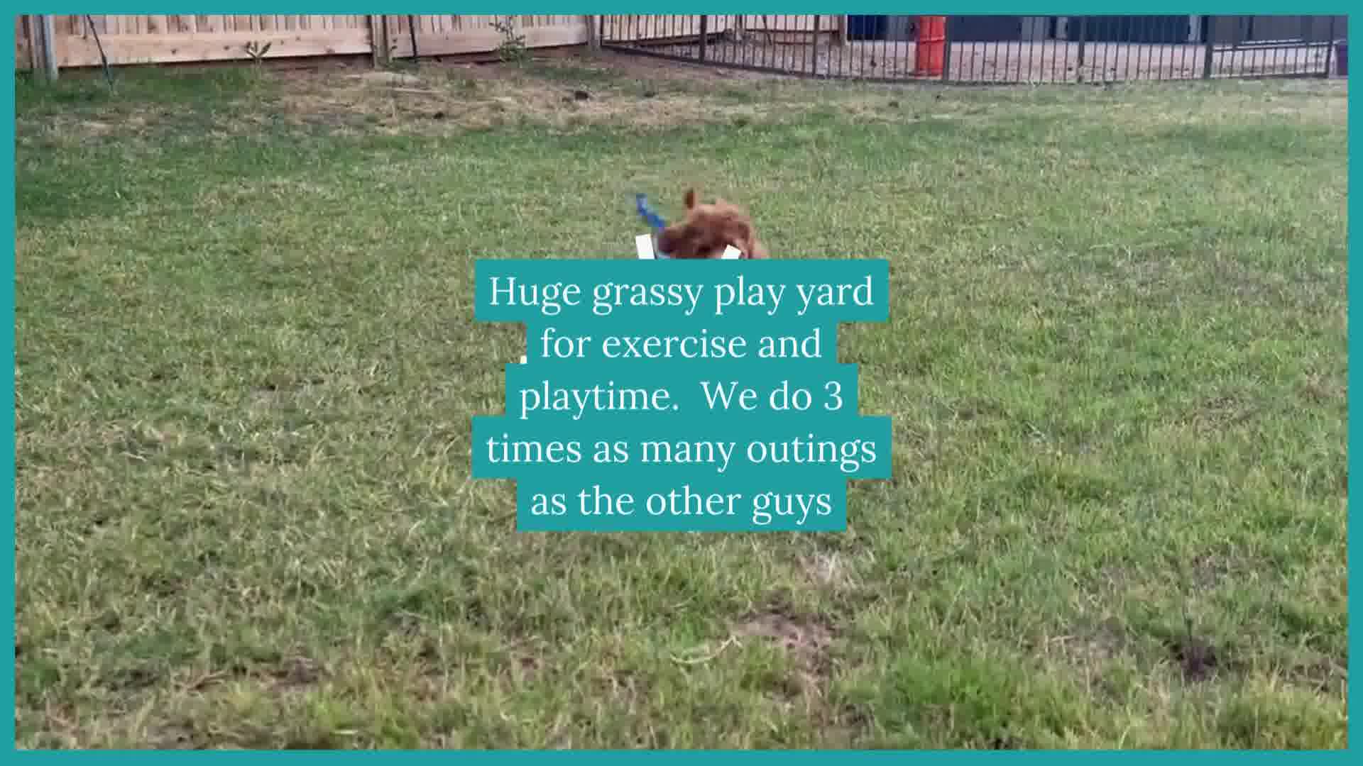 Schedule your meet & greet