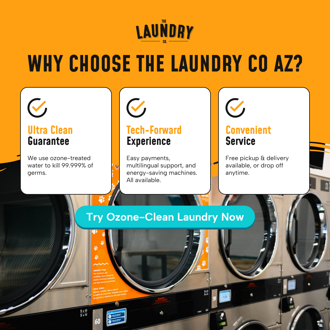 Sanitized Laundry, Zero Hassle