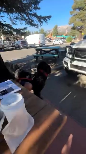 Enjoy Our Real Fruit Smoothies 🍓