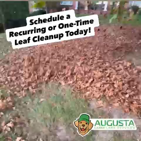 Augusta Lawn Care Services of Jonesboro Landscaping ad creative