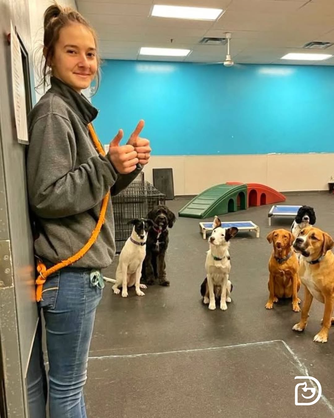 3 FREE Days of Daycare