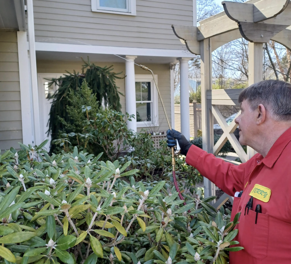 Trusted by Homeowners. Proven Results.