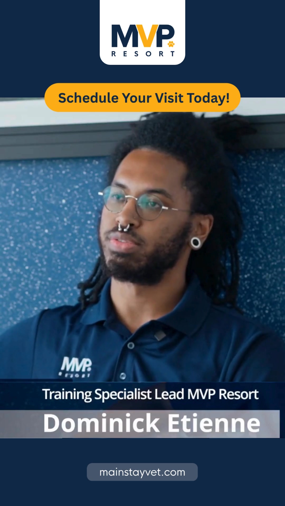 Certified Dog Training