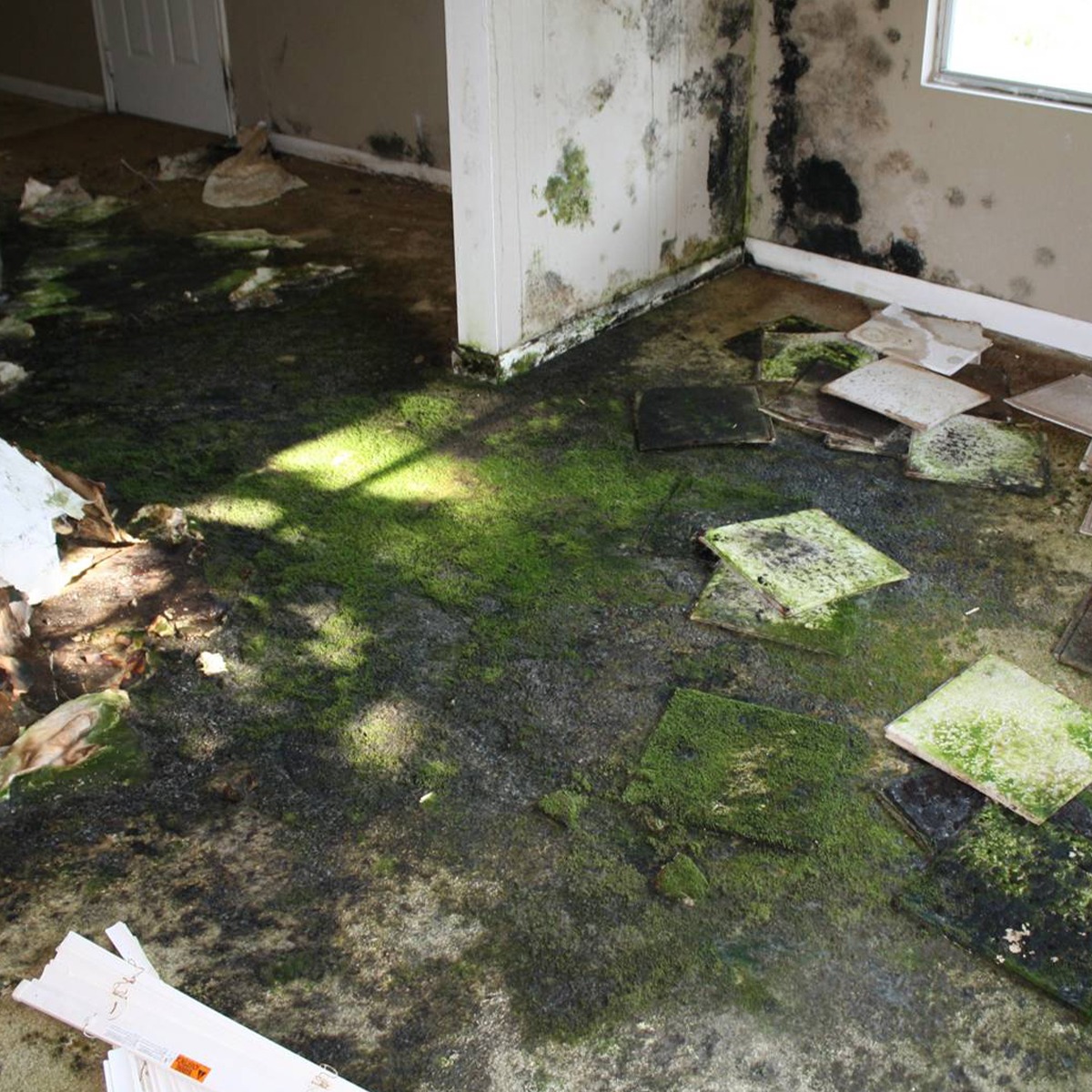 Lightning Restoration