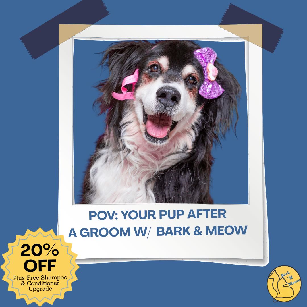 SAVE 20% Now + FREE upgrade 👉