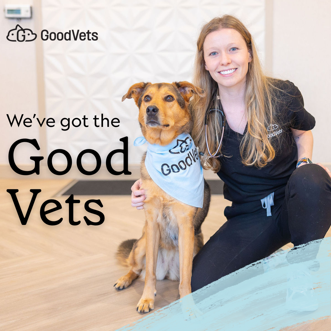 Expert Care. Happier Pets.