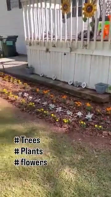 Southern Living Landscape Landscaping ad creative