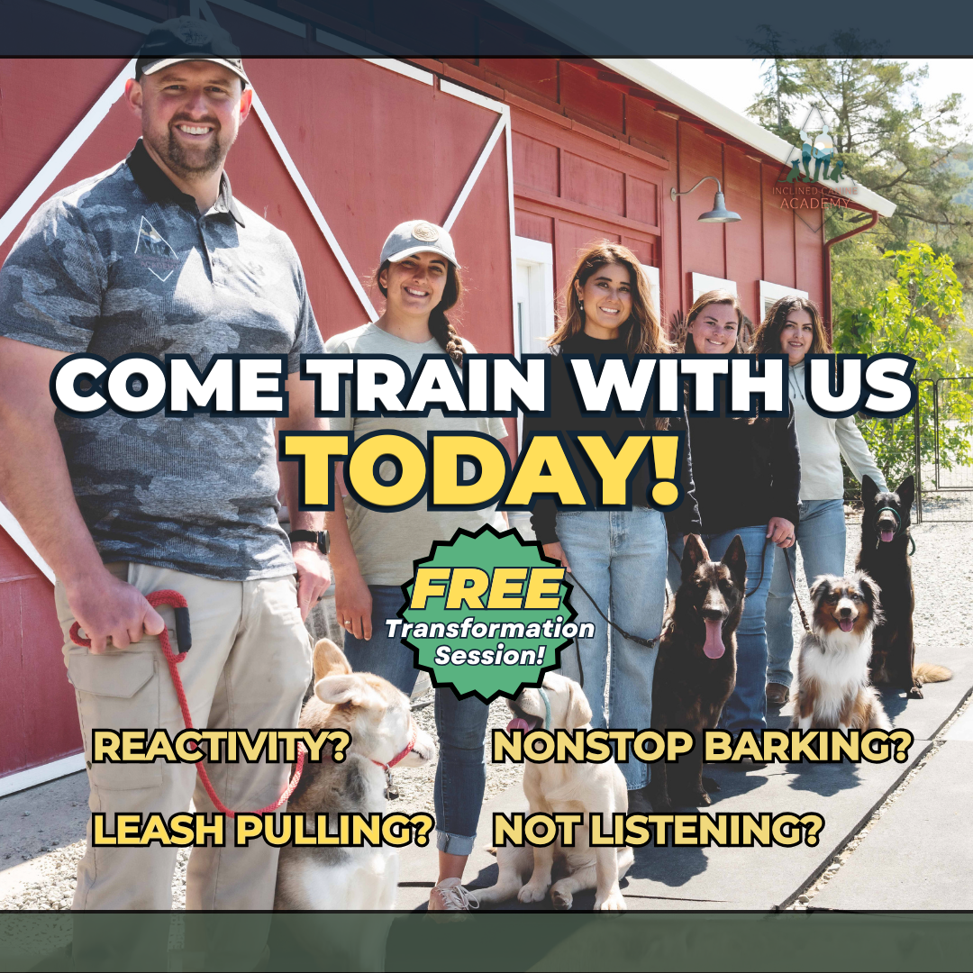 FREE Transformation session! 👉