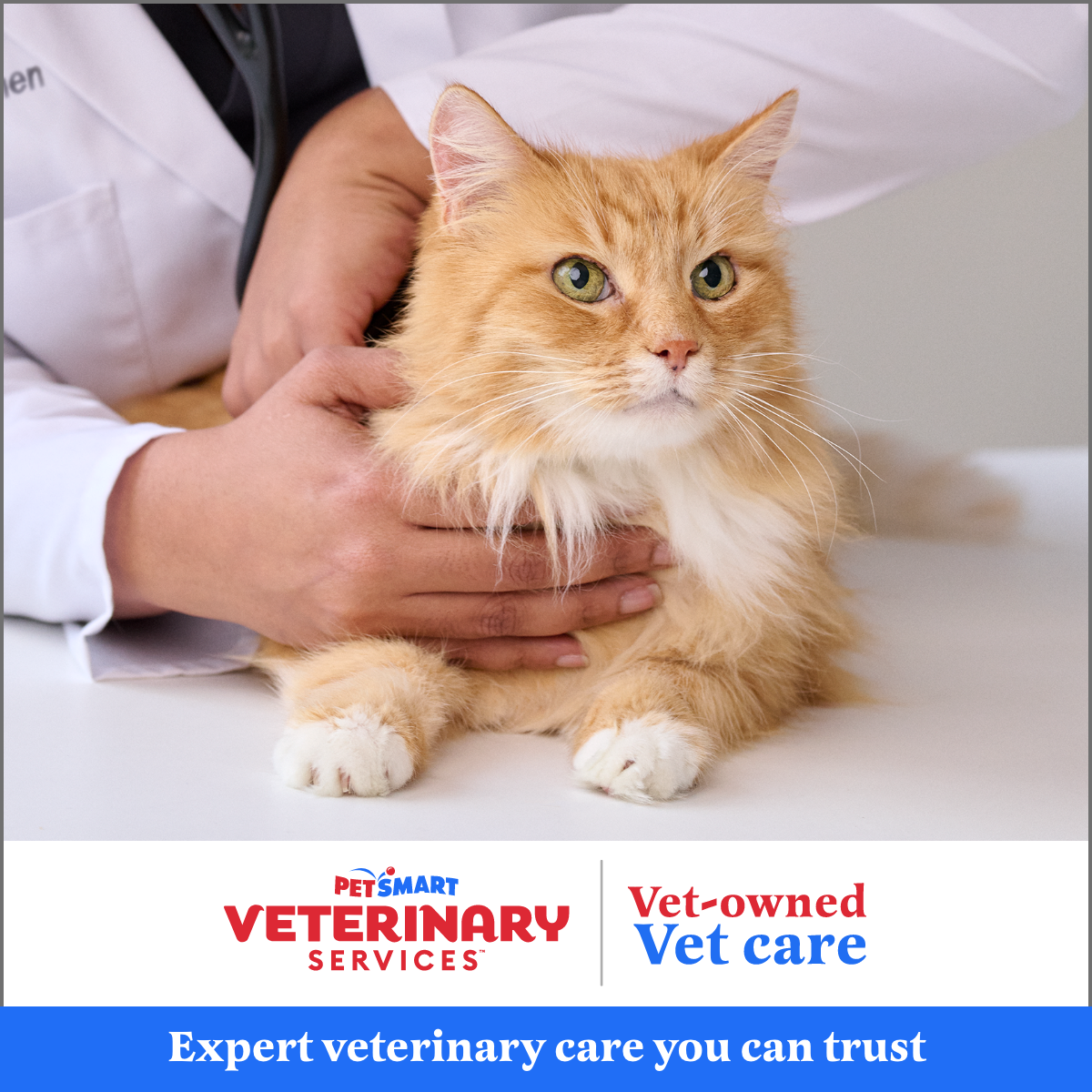 Veterinarian Services in Westheimer Dunvale Houston, TX