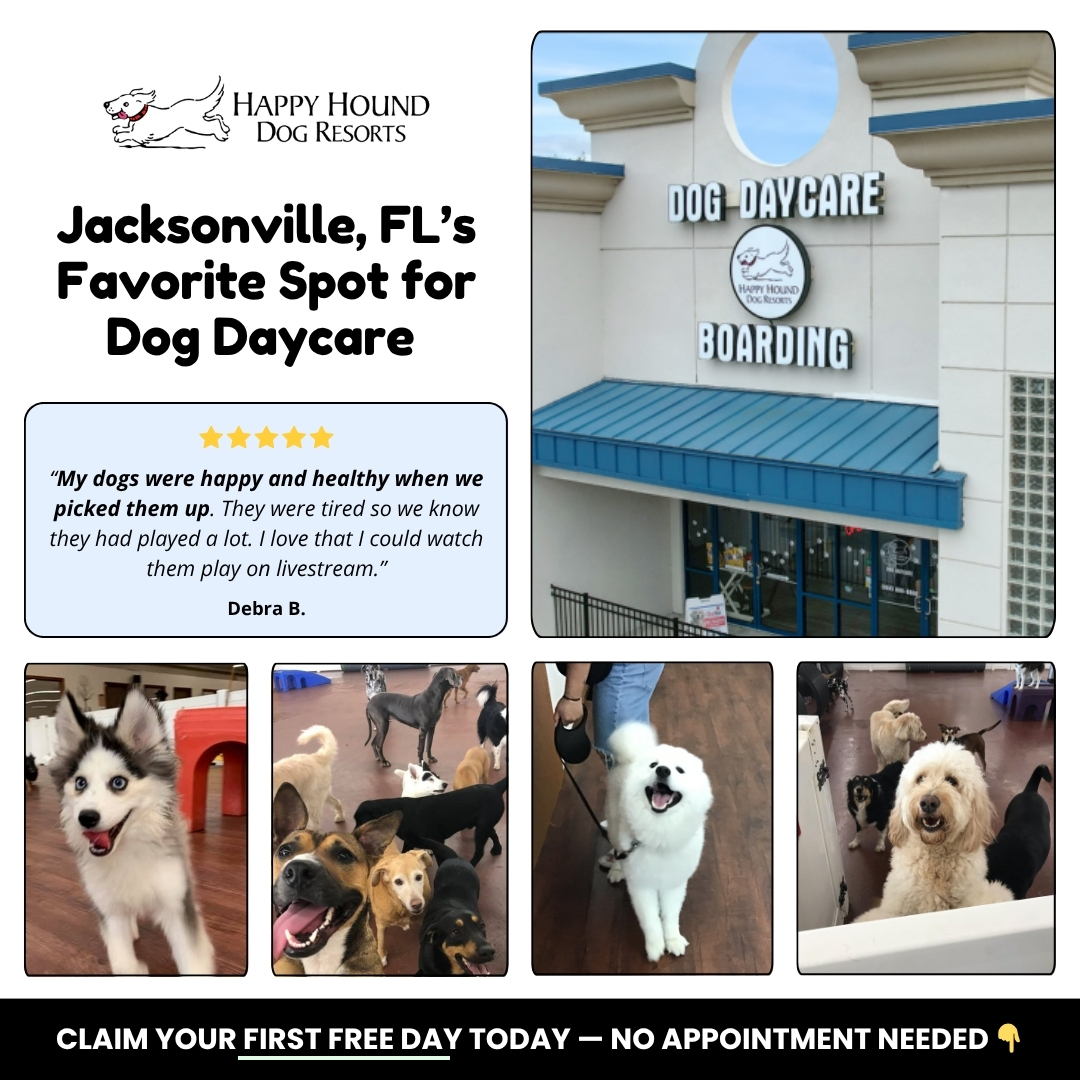 Daycare With Peace of Mind