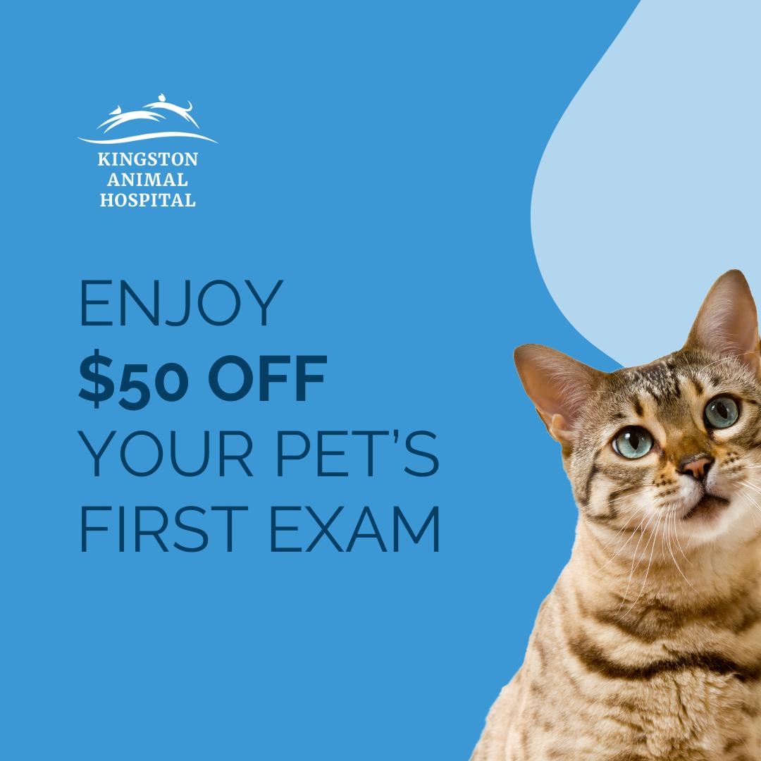 Save $50 on Your First Visit!