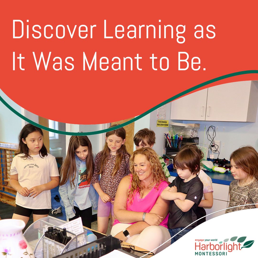 Harborlight Montessori Private School ad creative
