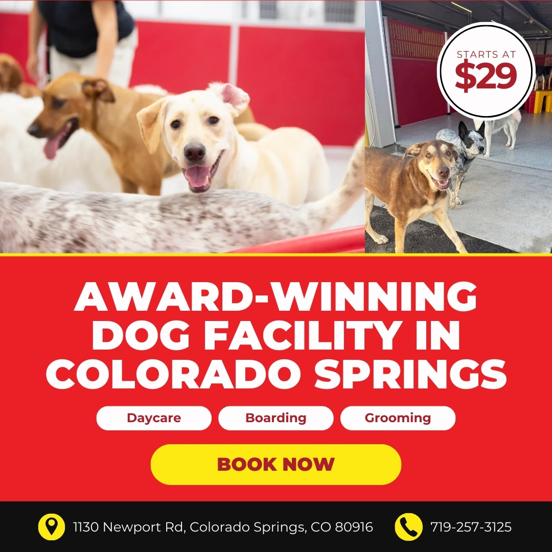 Today's Pet Care Pet Boarding ad creative