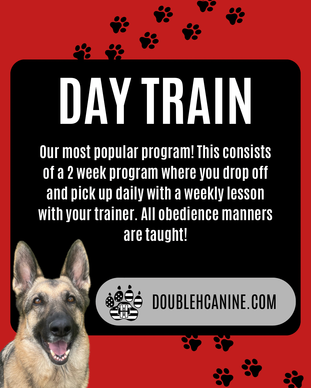 Double H Canine Training Academy