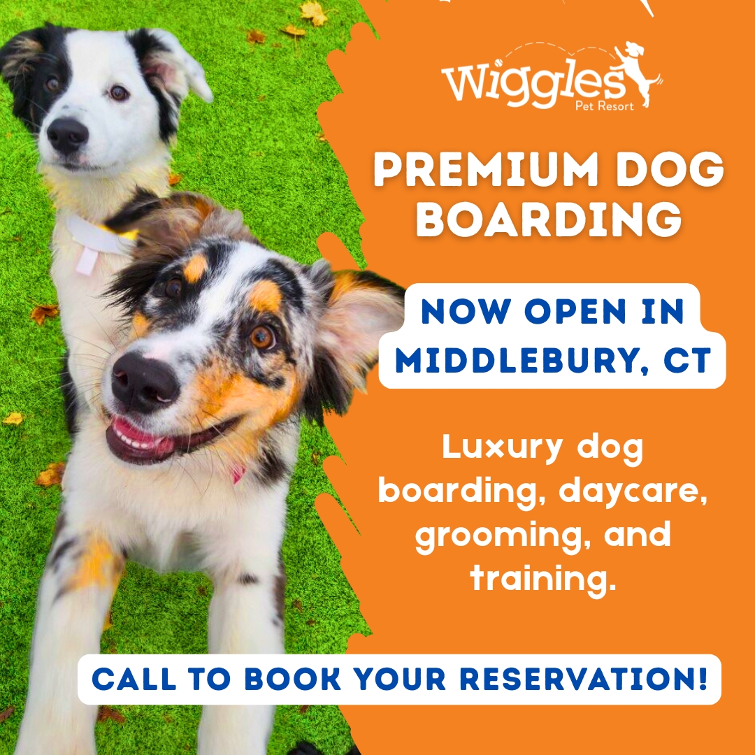 Wiggles Pet Resort in Middlebury Pet Boarding ad creative