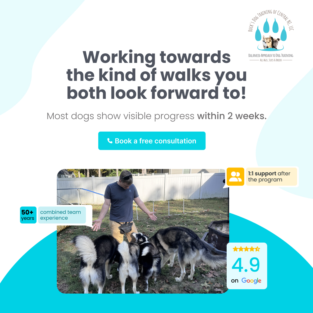 Behavior modification Training Service