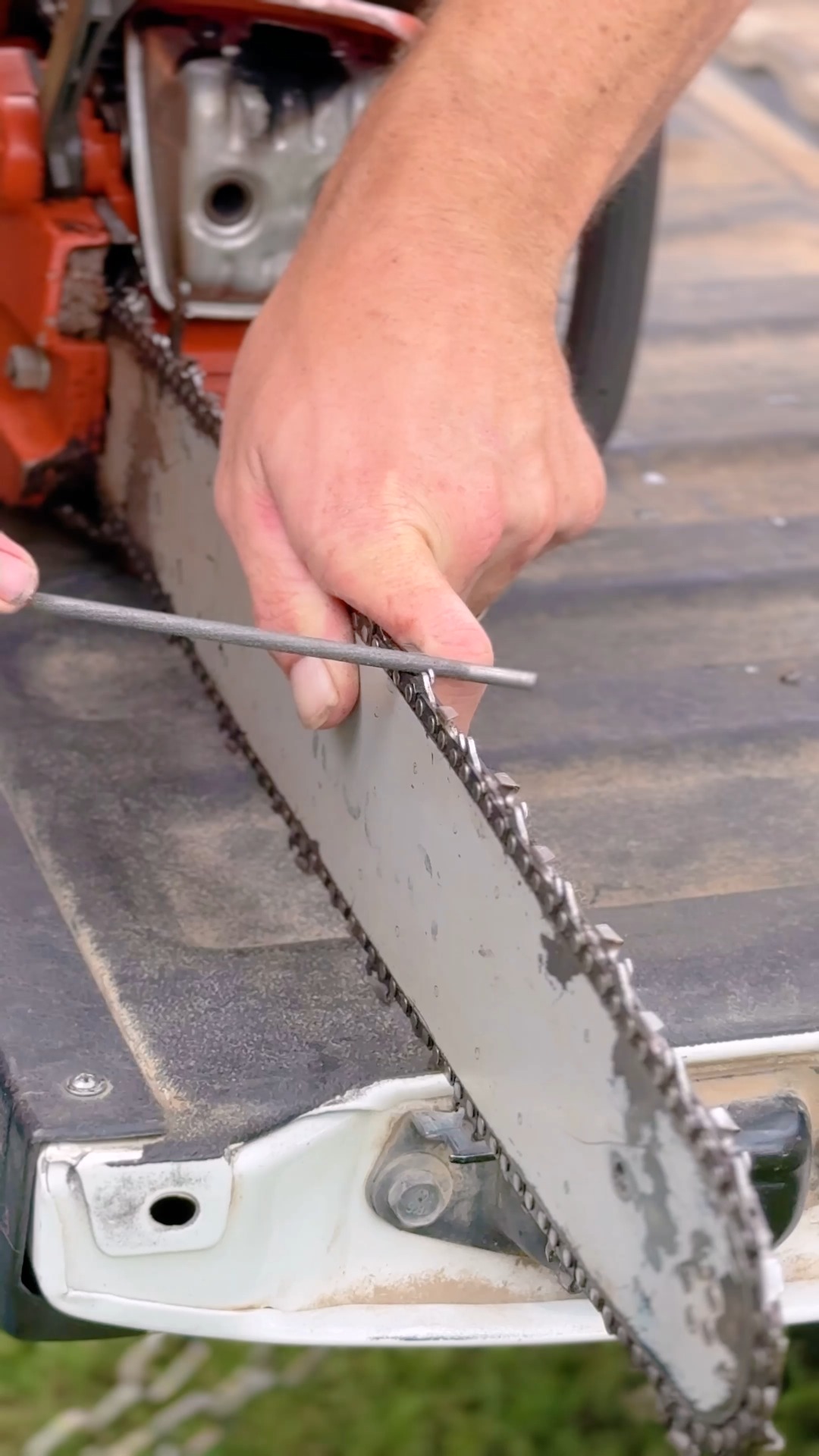 Tree Work | Remodeling | Hauling