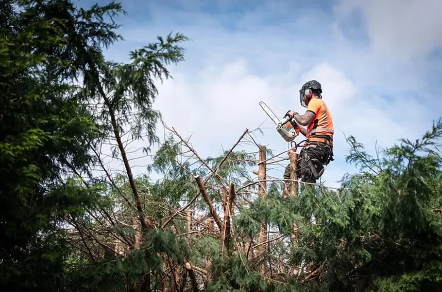 JMS Tree Services LLC