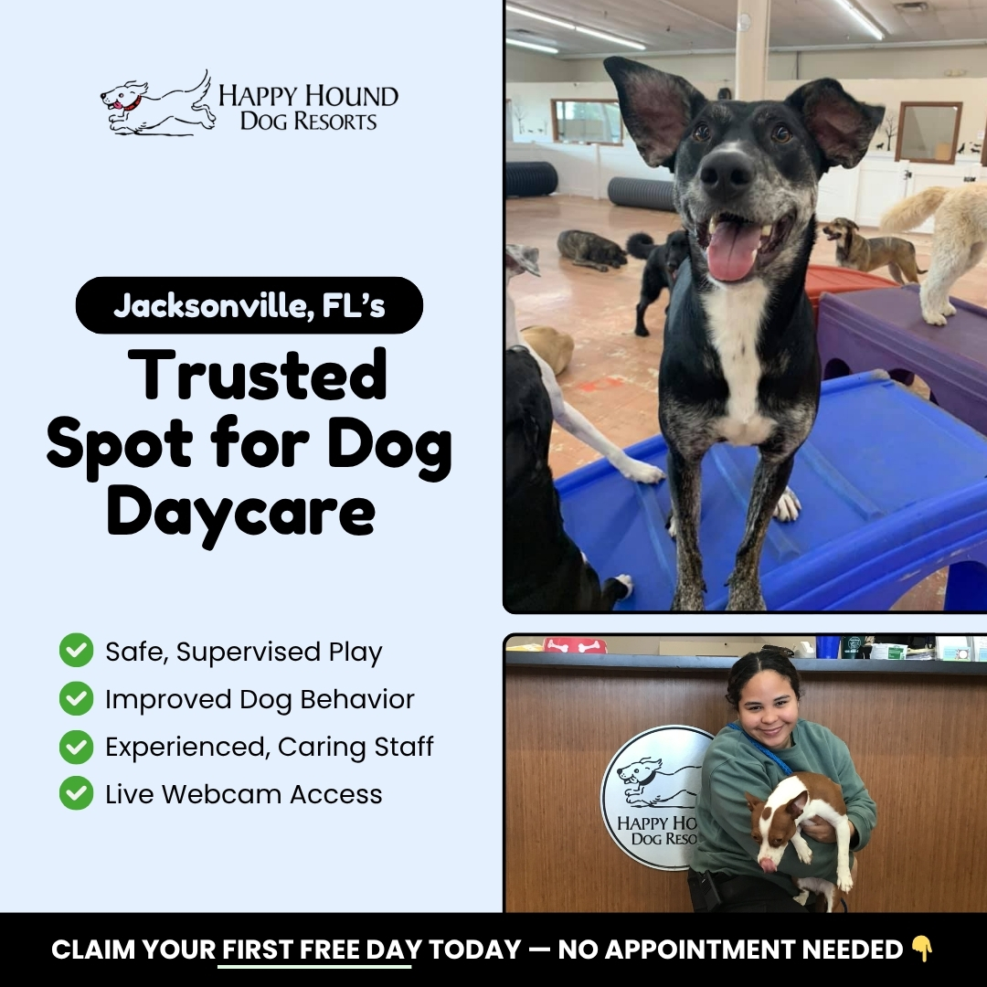 Daycare With Peace of Mind