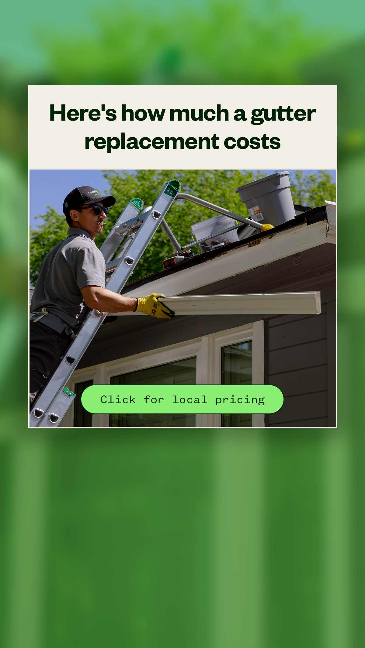 LeafFilter Gutter Protection Gutter Service ad creative