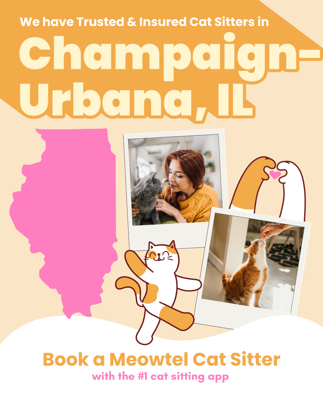 Find a loving cat sitter now