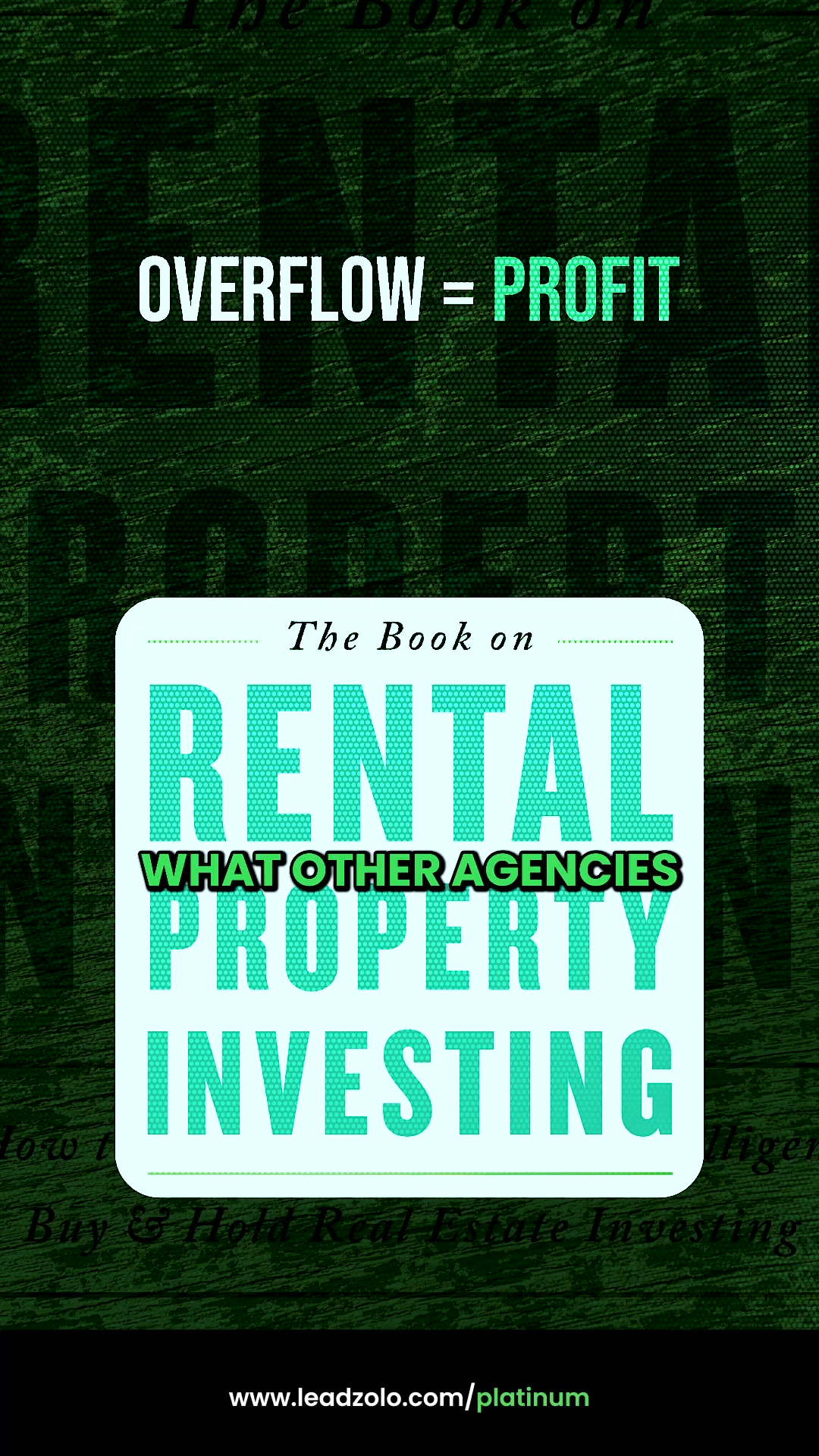 Leadzolo Digital Marketing Agency ad creative