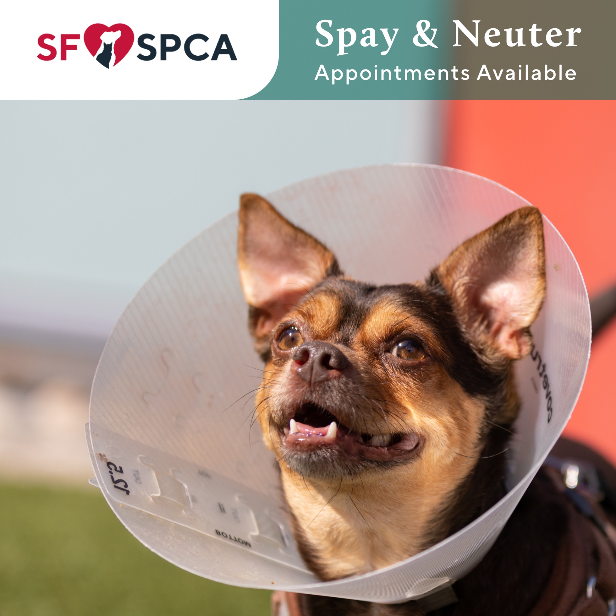 Best Reputation, Best Service