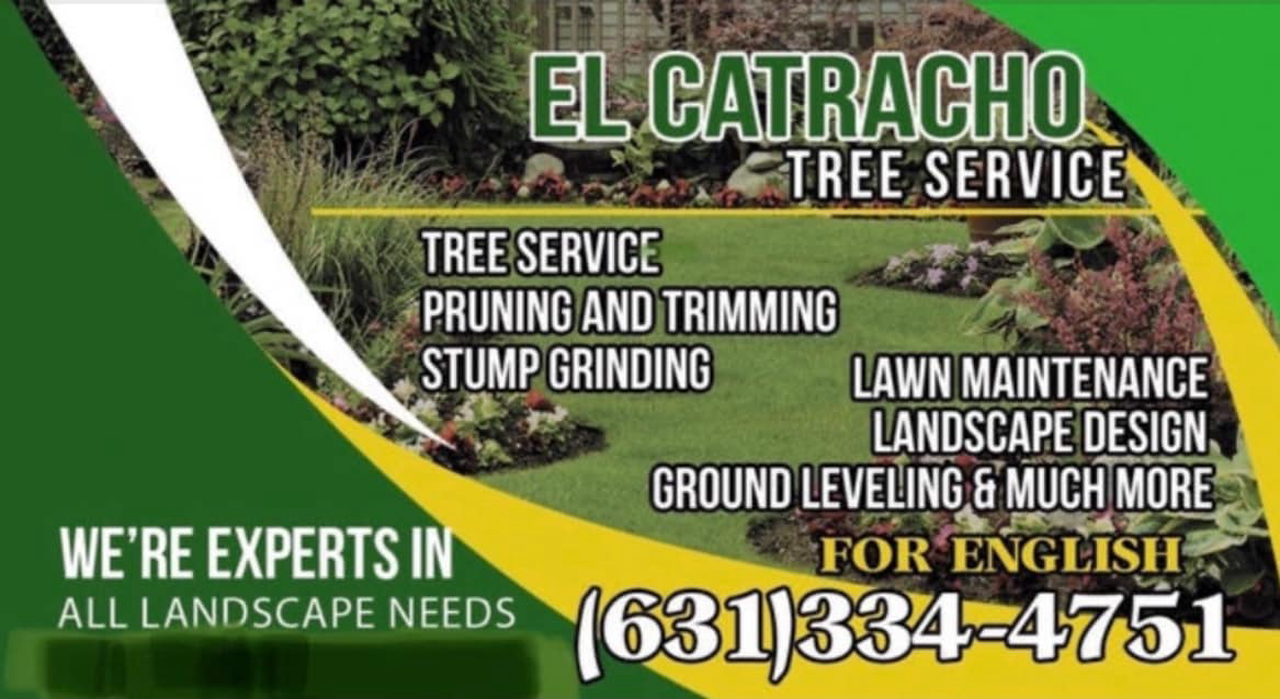 El Catracho Tree Service & Landscaping Tree Service ad creative