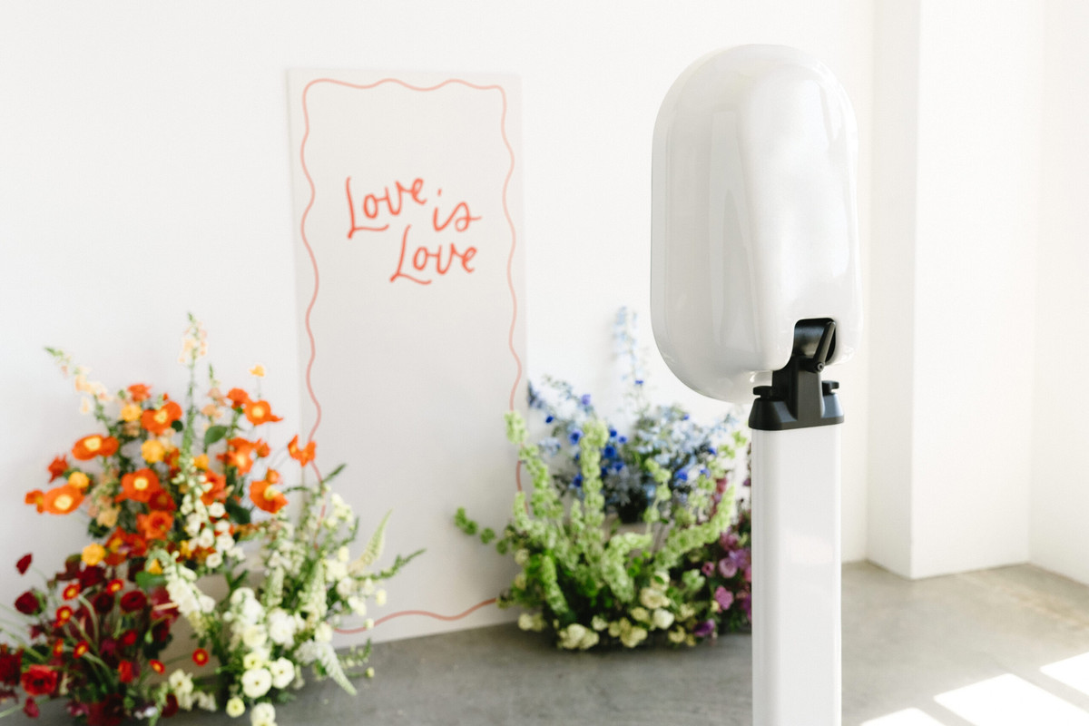 $550 for All-Day Photo Fun!