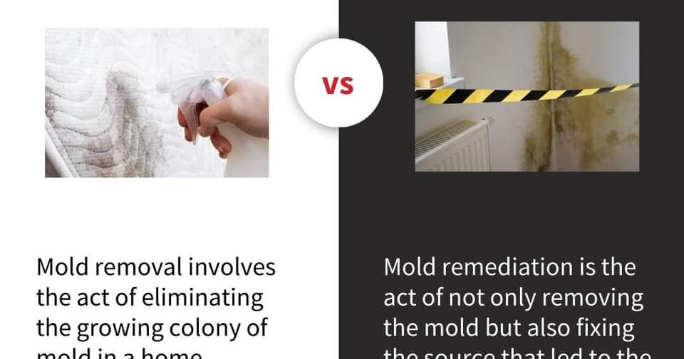 PuroClean of Fargo Water Damage Restoration ad creative