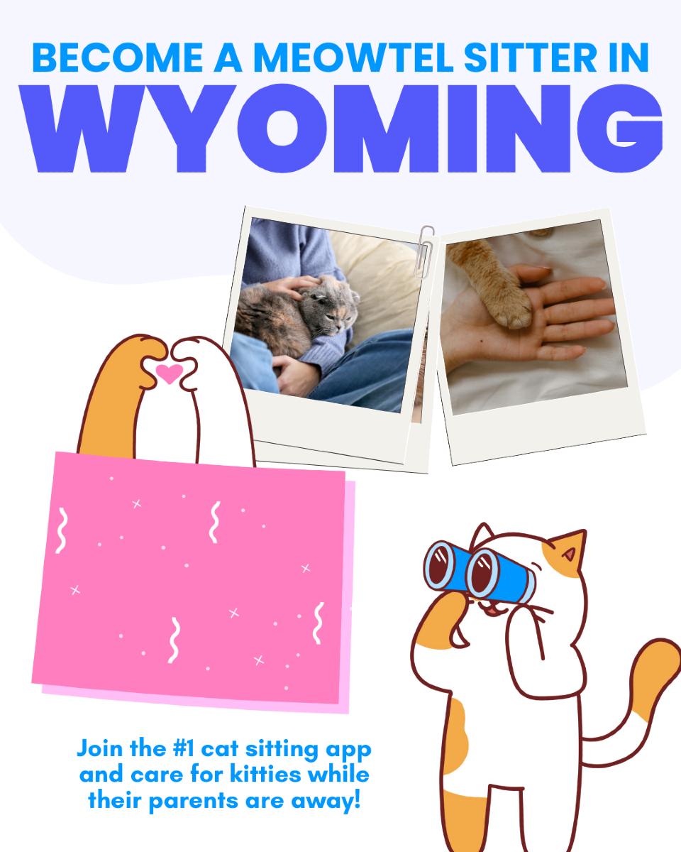 Become a Cat Sitter - $500-$1,000/mo Cat Sitting Jobs | Meowtel