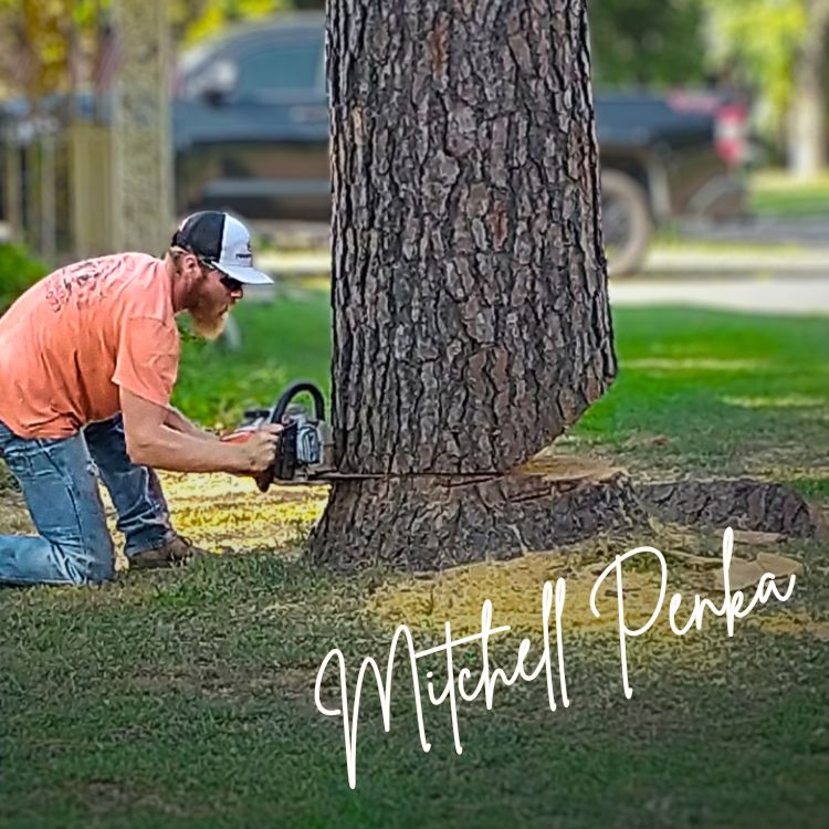 Penka's Handyman Services LLC