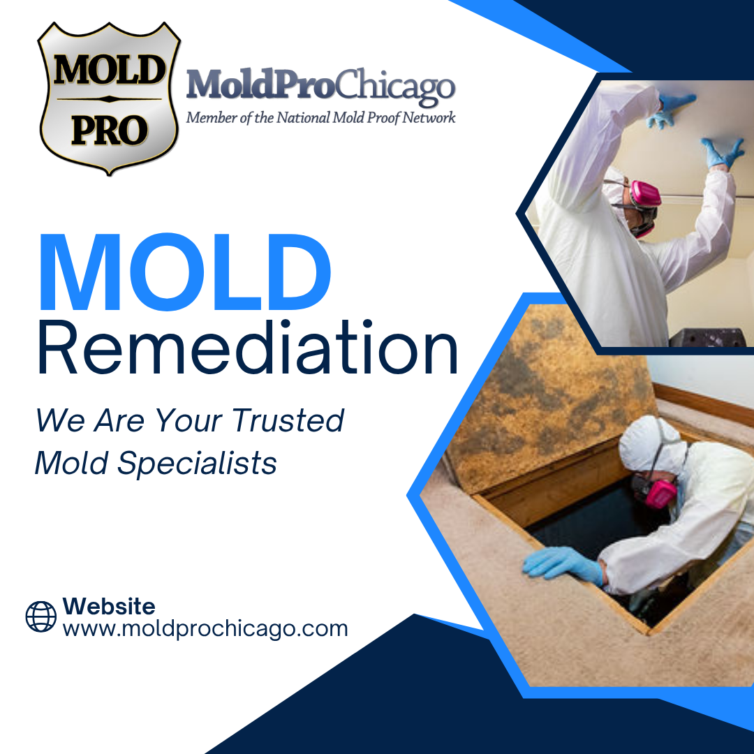 Mold Pro Chicago Water Damage Restoration ad creative