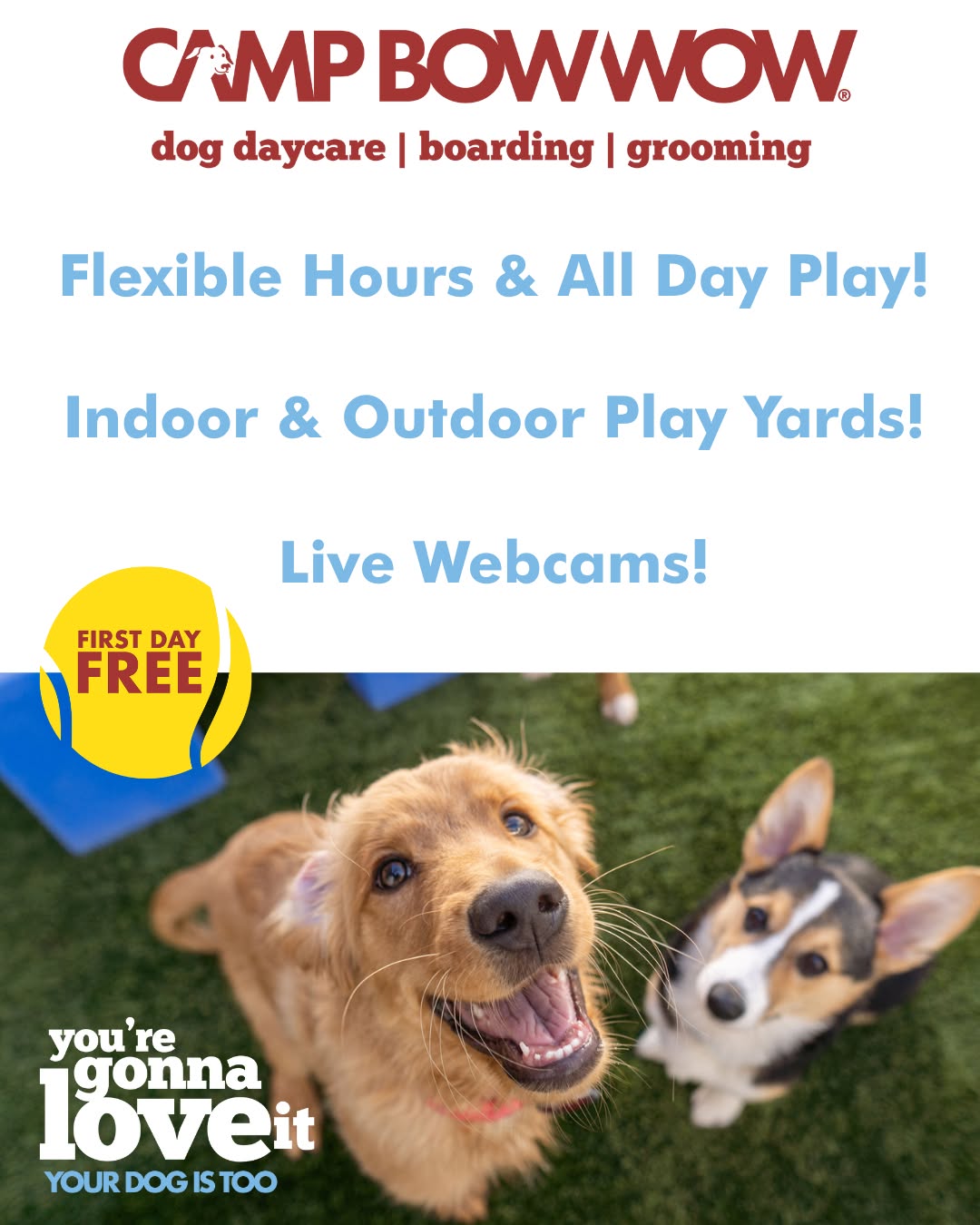 Camp Bow Wow Sherwood