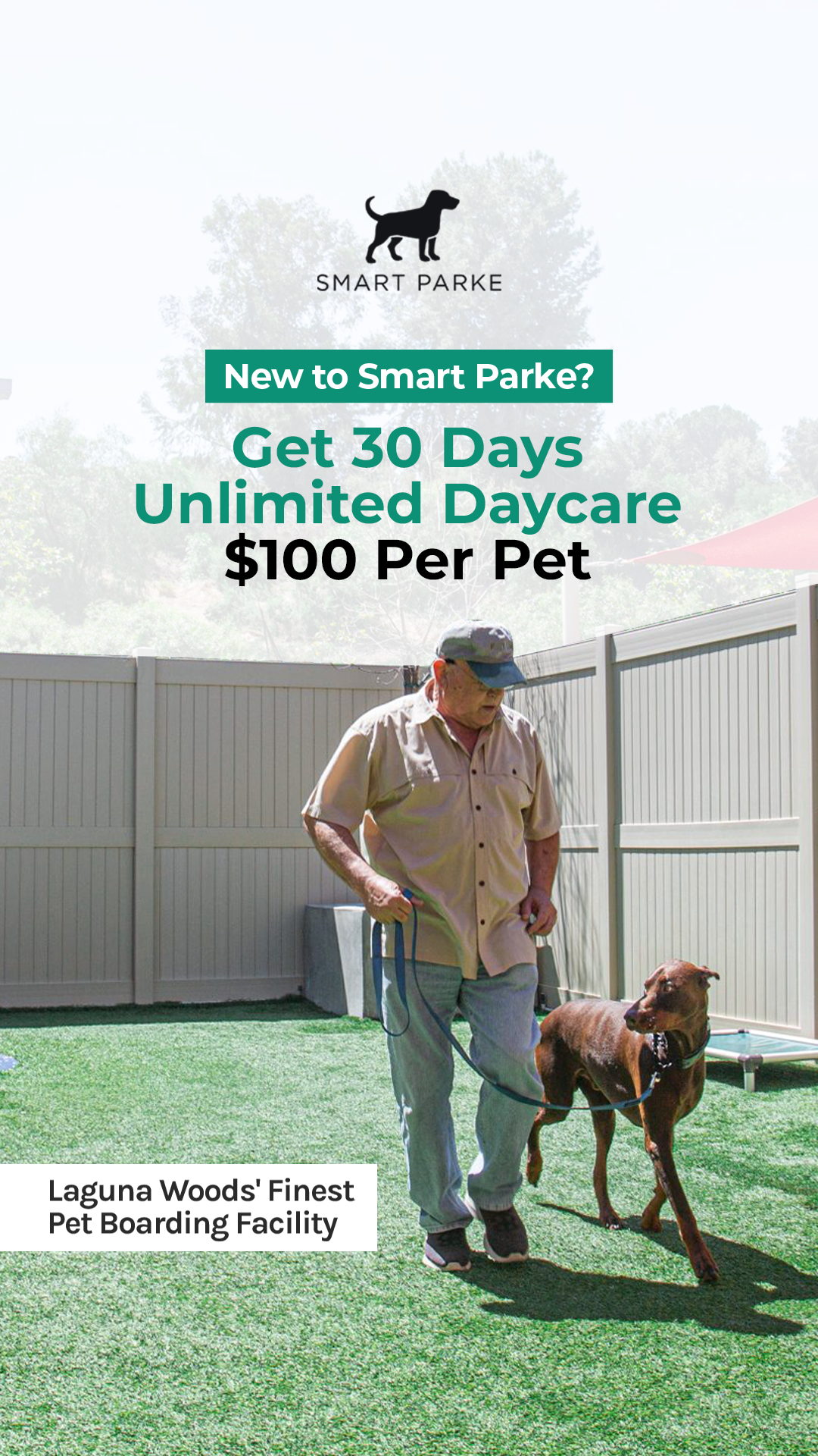 Premium Dog Daycare in Laguna Woods