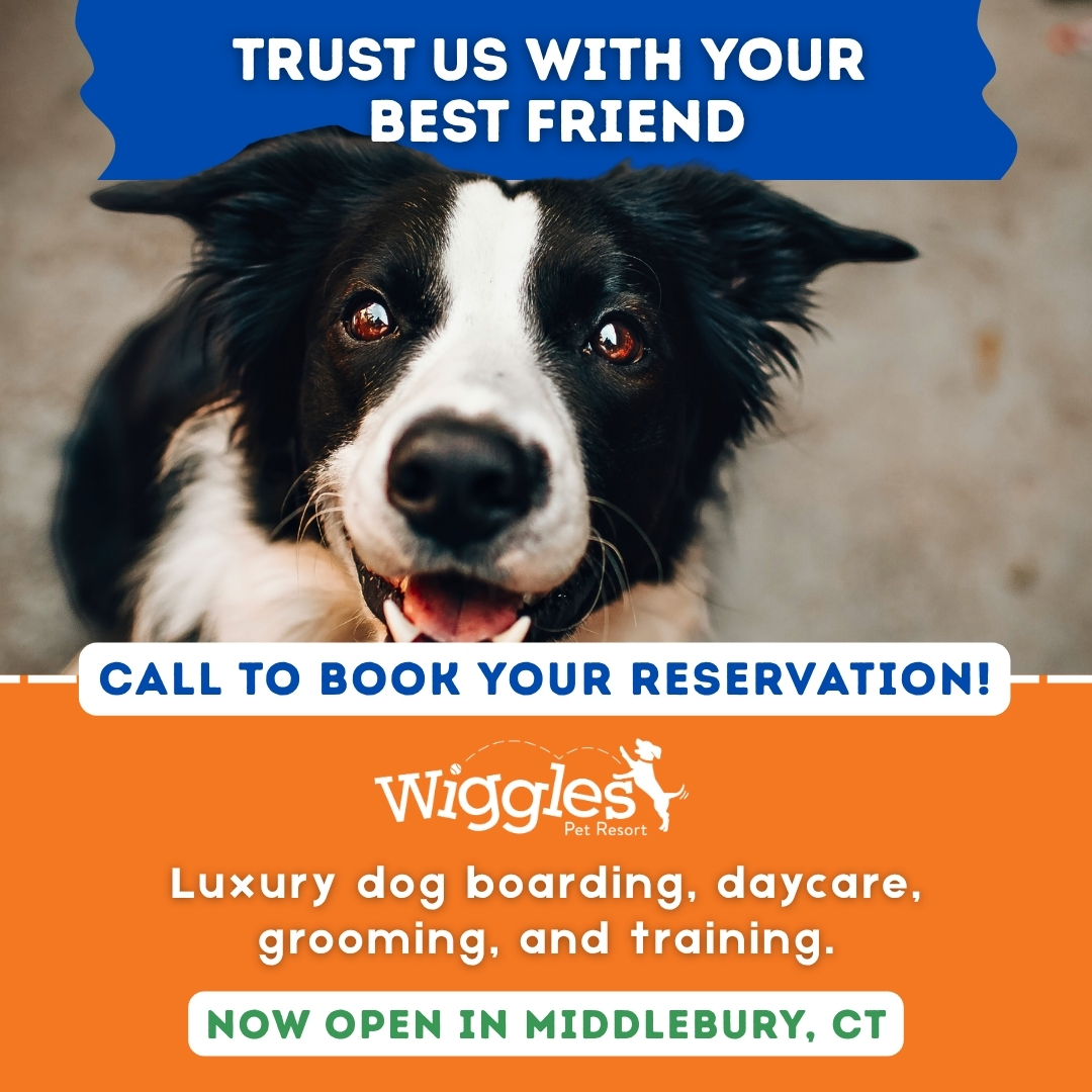 Wiggles Pet Resort in Middlebury