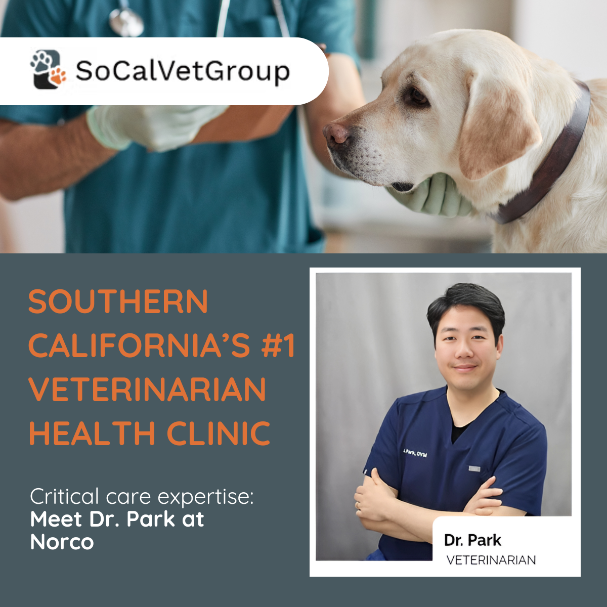 Shorter wait times | Lower costs | Expert care