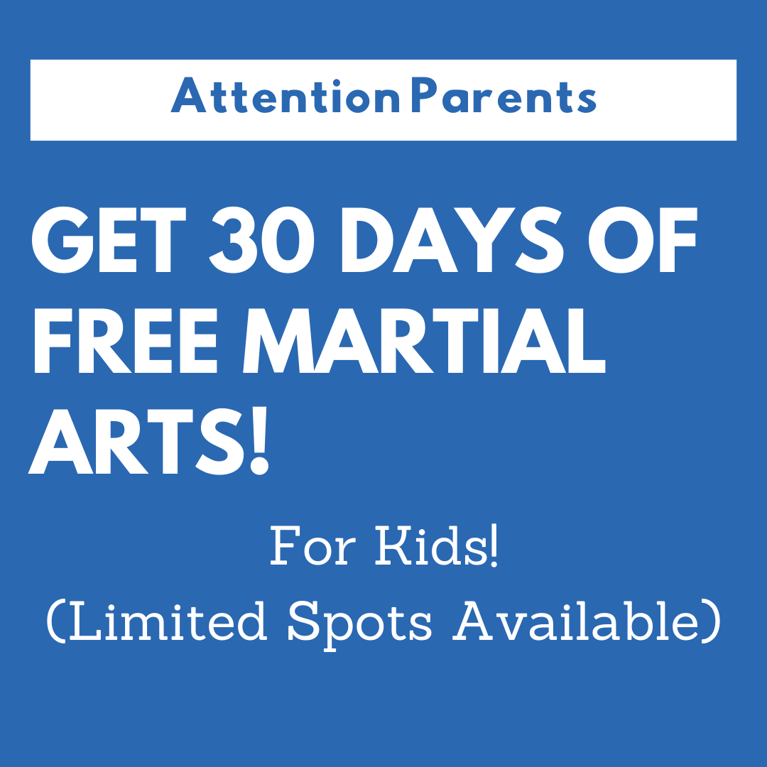 Elevate Martial Arts Woodstock Martial Arts ad creative
