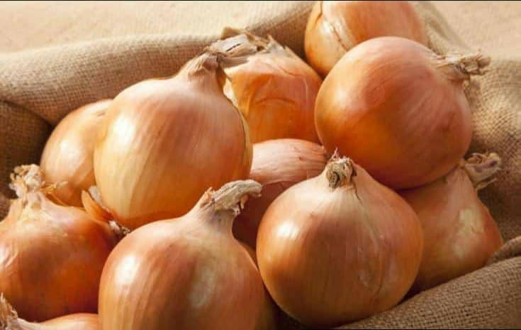 Randy's Rooter & Plumbing, LLC M-36568