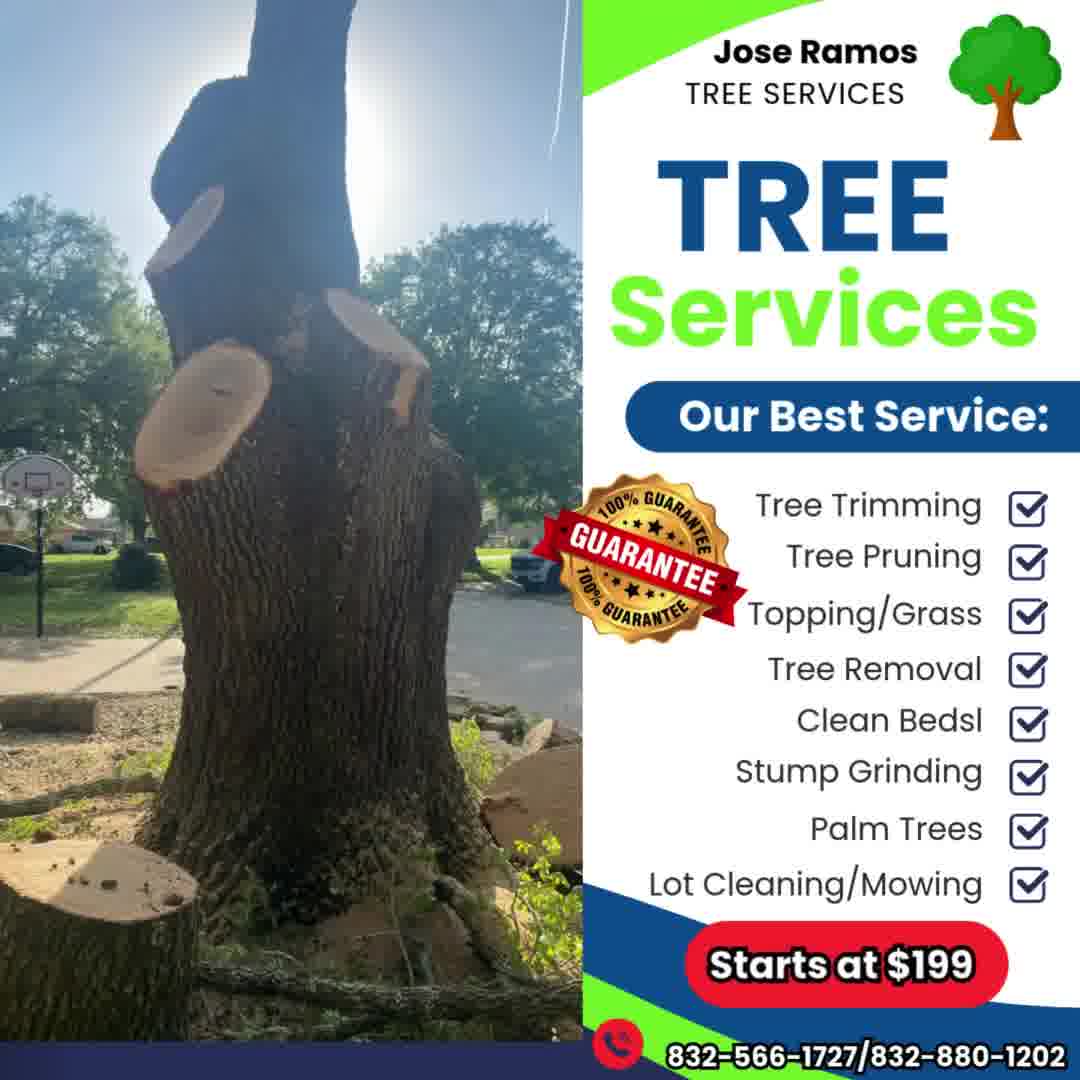 Jose Ramos Tree Service | Houston, TX