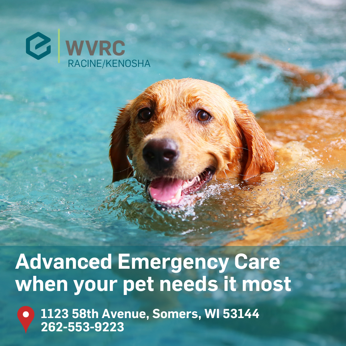 Dedicated Emergency and Critical Care