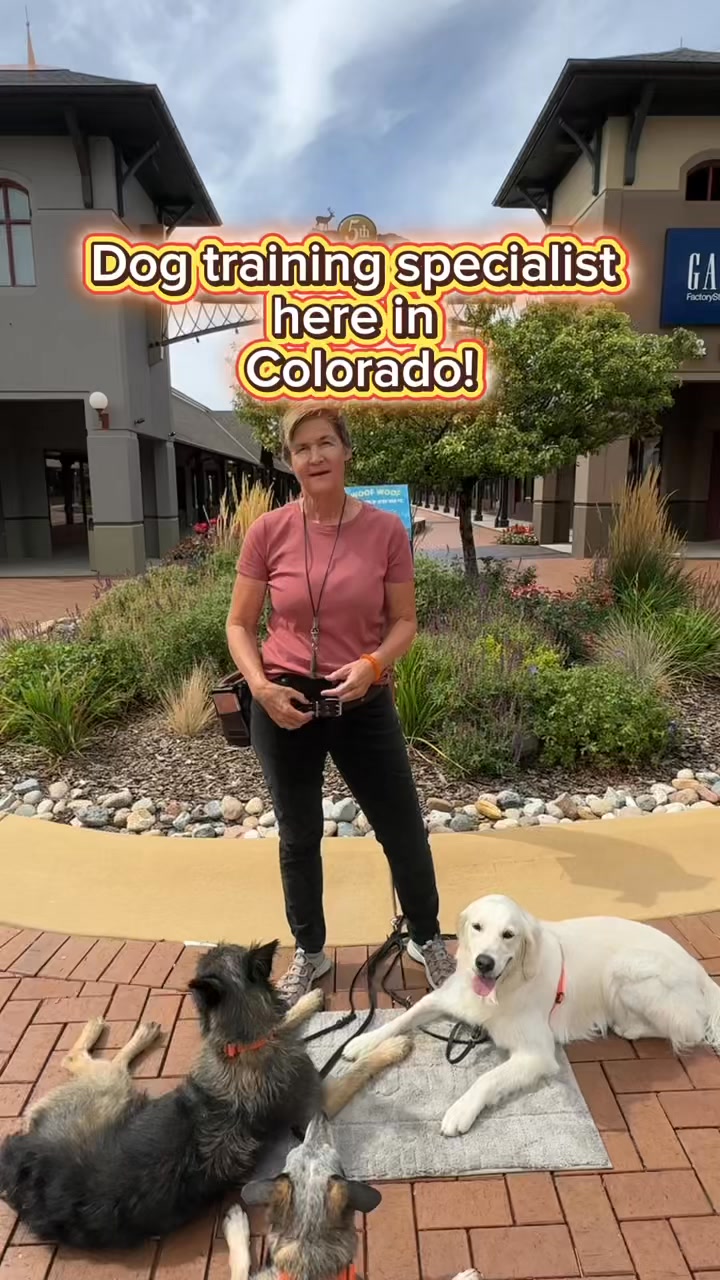 Stronger Bond, Better Behavior – Free Consult